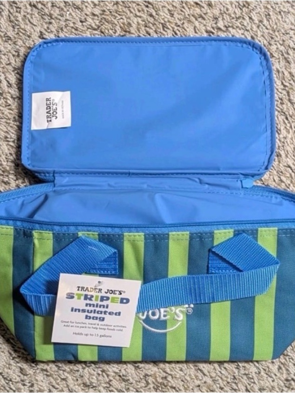 Trader Joe's Blue and Green Striped Insulated Travel Bag